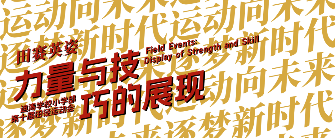 DBGame-运动场上的奋力拼搏，荣誉由此而生的简单介绍