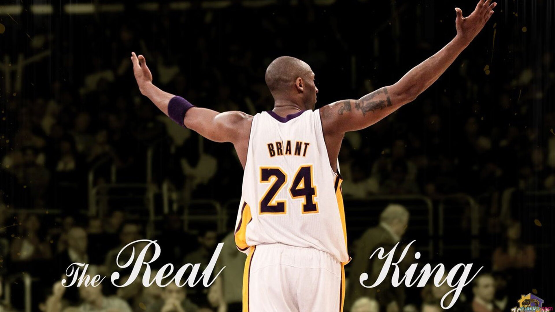 太阳对阵黄蜂,拉文持续制造杀伤,改写比赛格局的唯一性艺术